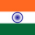 Indian Flag